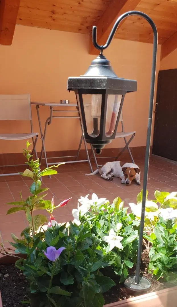 Made In Italy Hotel Bergamo Guest house